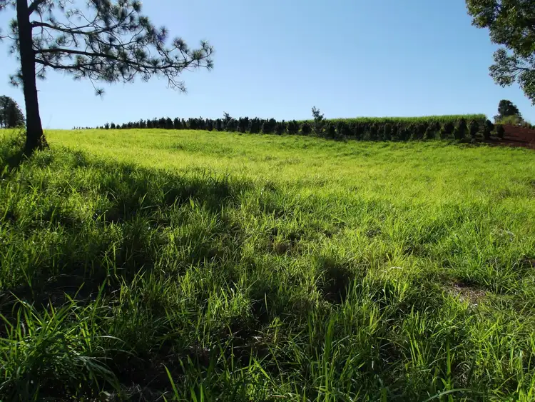 Main view of Homely land listing, Lot 21 Rainbows Road, South Isis QLD 4660