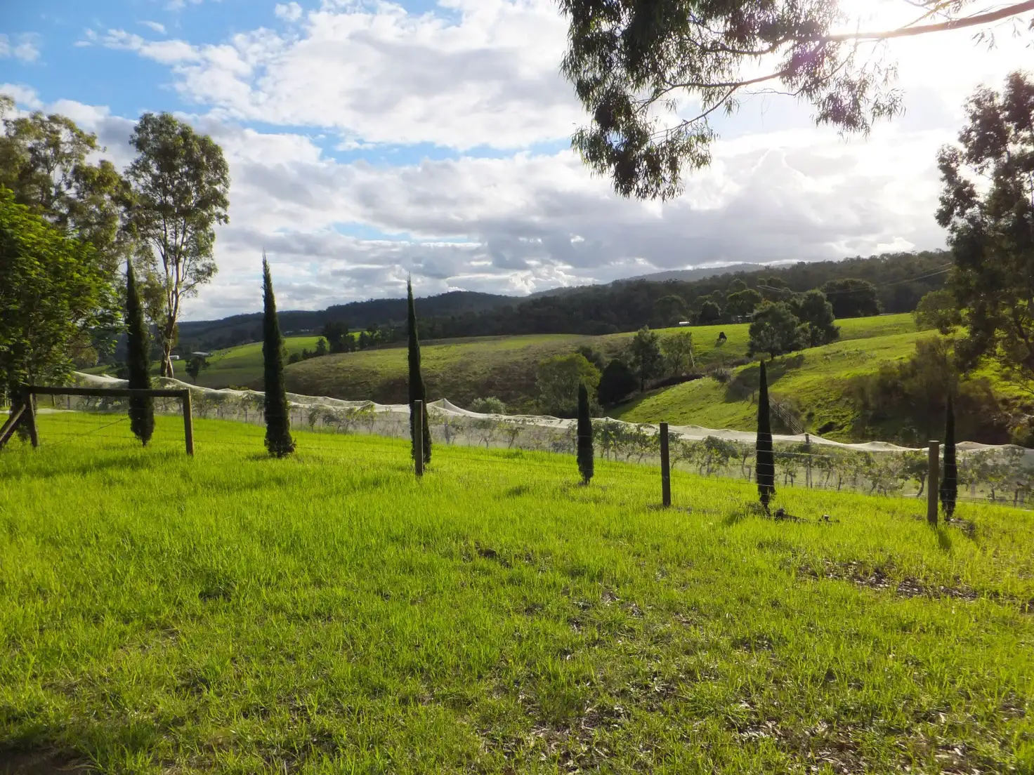 Main view of Homely land listing, 79 Great Alpine Road St, Bruthen VIC 3885