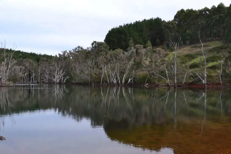 Main view of Homely rural property listing, Lot 76 Hawterville Road, Mullalyup WA 6252