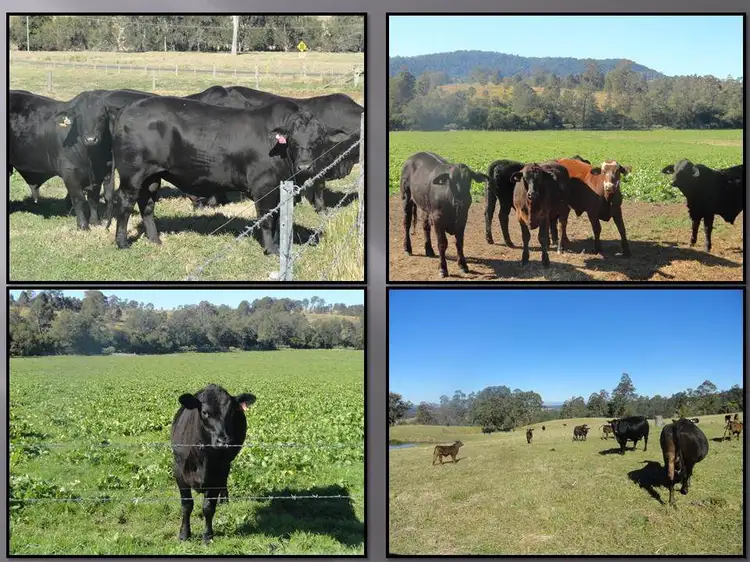 Third view of Homely rural property listing, LOT 19 Tunglebung Road, Casino NSW 2470