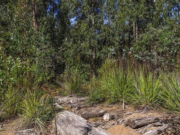 Fourth view of Homely land listing, 36587/1 Oigles Road, Geeveston TAS 7116