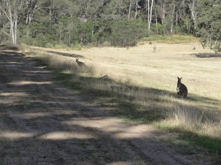 Seventh view of Homely rural property listing, Lot 4 Putty Valley Road, Putty NSW 2330