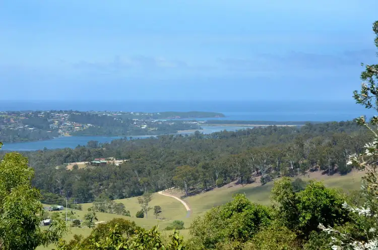 Third view of Homely rural property listing, 333 Upper Boggy Creek Road, Millingandi NSW 2549