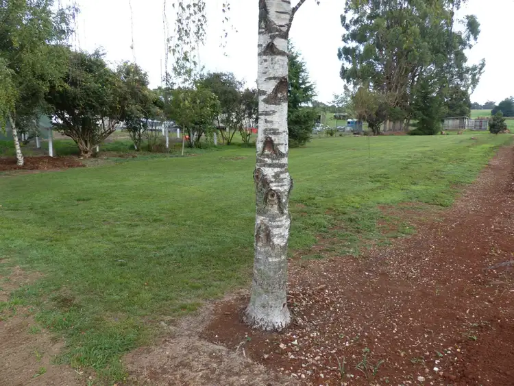 Fourth view of Homely land listing, 19 Beefeater Street, Deloraine TAS 7304