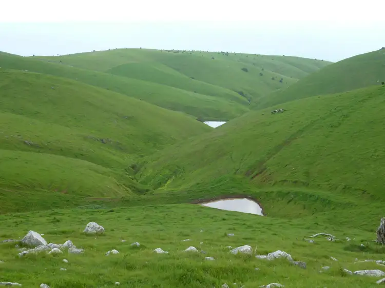 Second view of Homely rural property listing, Lot 51 Forktree Road, Carrickalinga SA 5204
