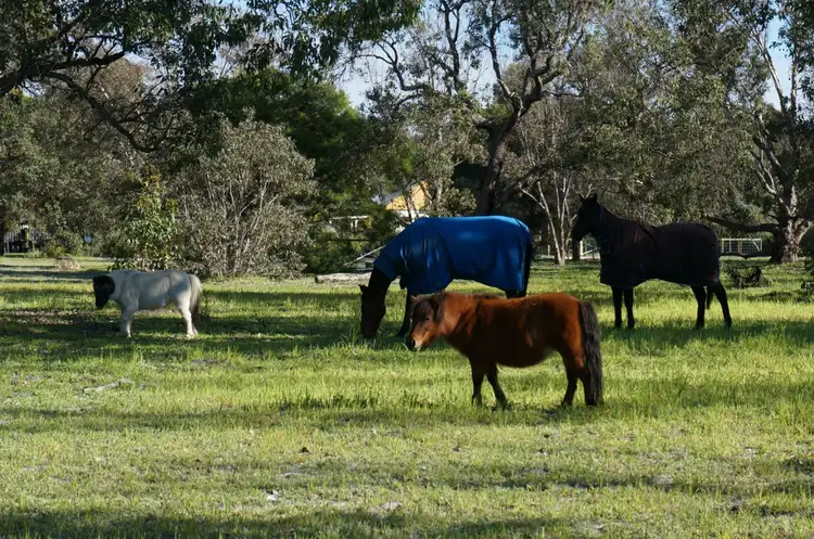 Third view of Homely rural property listing, 60 Blue Gum Way, Toodyay WA 6566