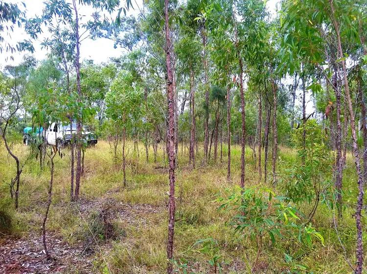 Second view of Homely land listing, Lot 196 DAVIES Road, Captain Creek QLD 4677