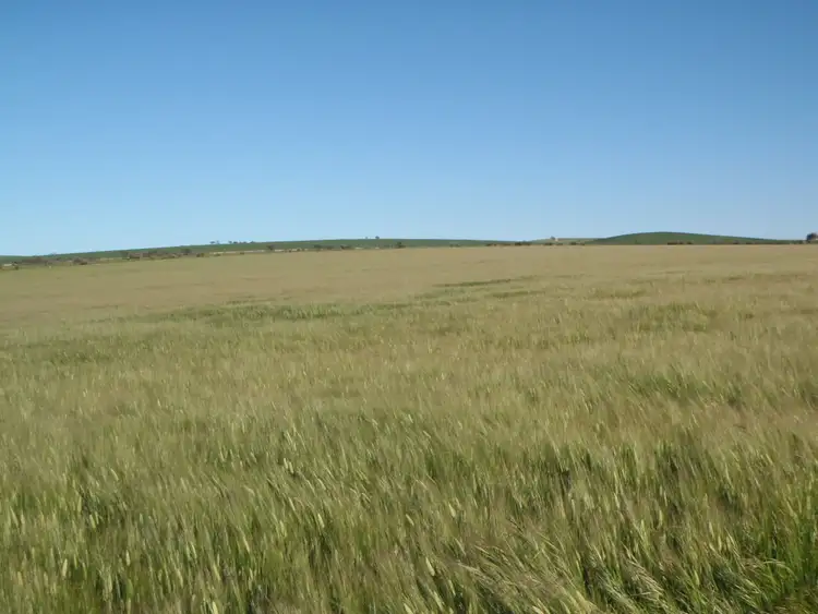Sixth view of Homely land listing, ./L2 & 3 Beetaloo Valley Road, Beetaloo SA 5523