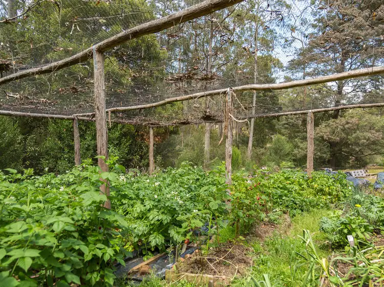 Fourth view of Homely land listing, 111733/1 Knights Road, Huonville TAS 7109