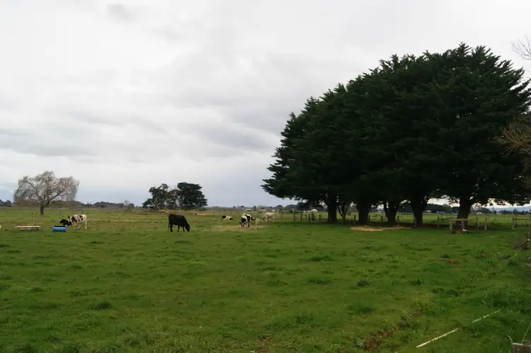 Sixth view of Homely rural property listing, 81 Browns Road, Tinamba VIC 3859