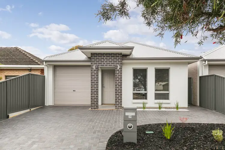 19 Cedar Avenue, Warradale SA 5046