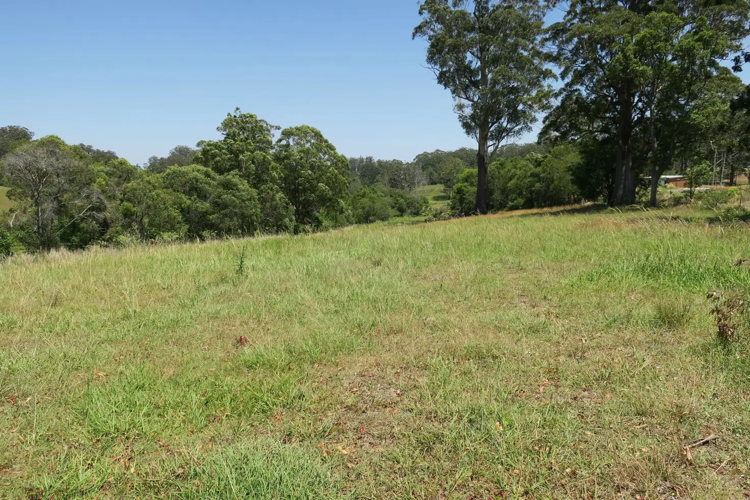 Main view of Homely land listing, Lot 23 Wirrimbi Road, Newee Creek NSW 2447