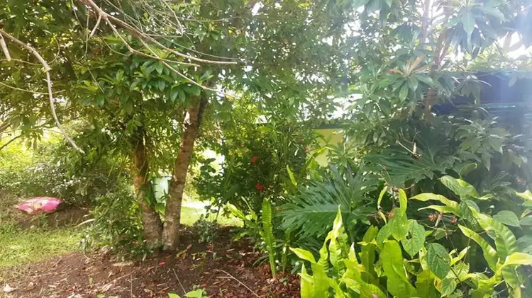 Third view of Homely house listing, 38 Dorson Drive, Mooloolah Valley QLD 4553