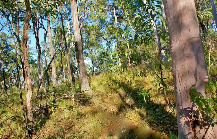 Sixth view of Homely land listing, Lot 196 DAVIES Road, Captain Creek QLD 4677