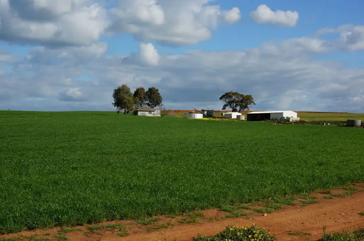 Third view of Homely rural property listing, 1963 Goomalling - Toodyay Road, Goomalling WA 6460