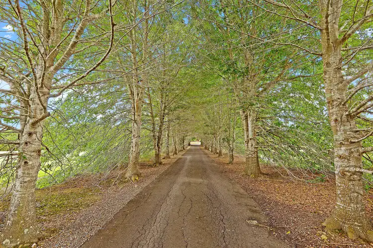 Sixth view of Homely rural property listing, 529 Rawdon Island Road, Rawdon Island NSW 2446