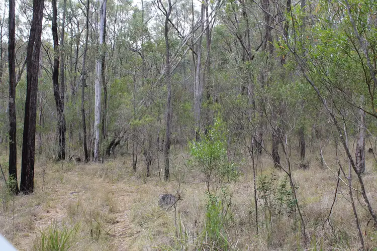 Seventh view of Homely rural property listing, Lot 51 Charleys Gully Road, Freestone QLD 4370