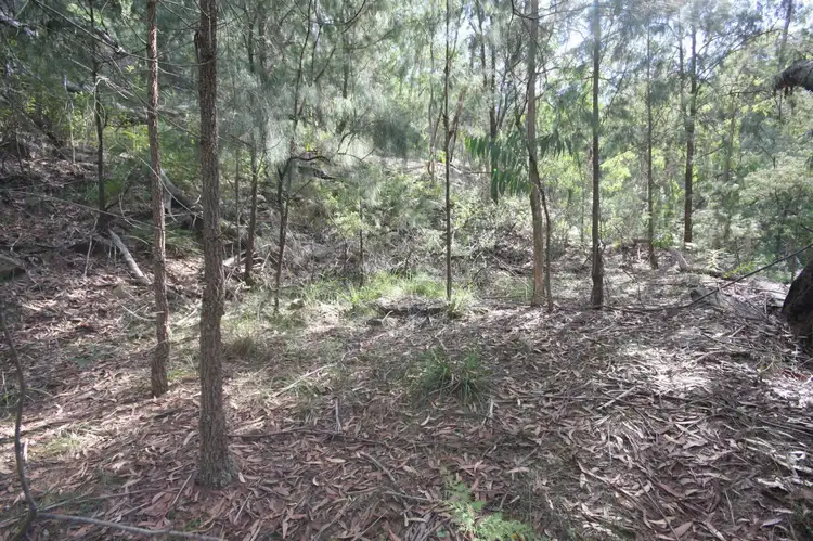 Main view of Homely land listing, 365 St Albans Road, Lower Macdonald NSW 2775