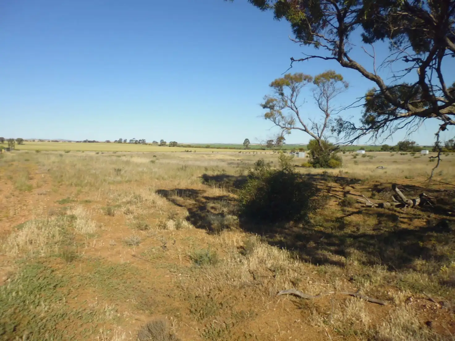 Main view of Homely land listing, Lot 2 The Cattle Track St, Crystal Brook SA 5523