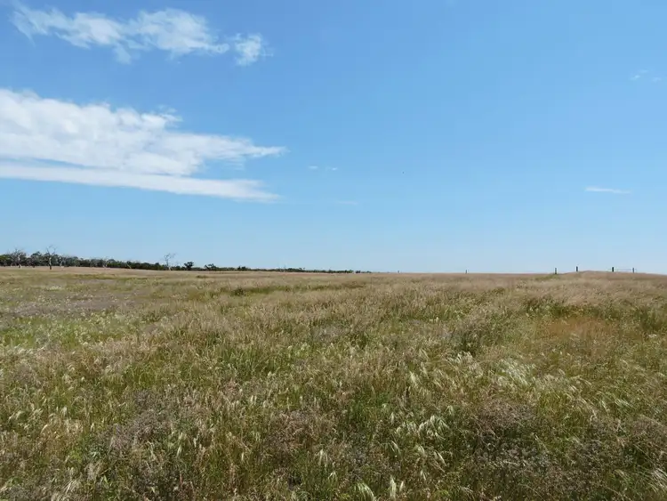 Fourth view of Homely rural property listing, Address available on request