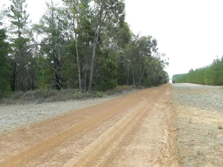 Seventh view of Homely rural property listing, o Normans Road, Sandford VIC 3312