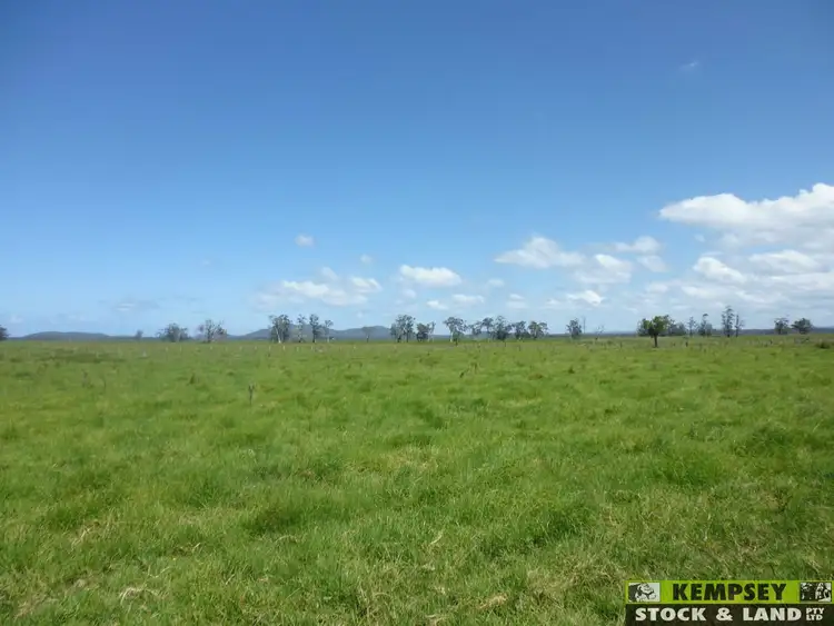 Fifth view of Homely rural property listing, 660 Left Bank Road, Belmore River NSW 2440