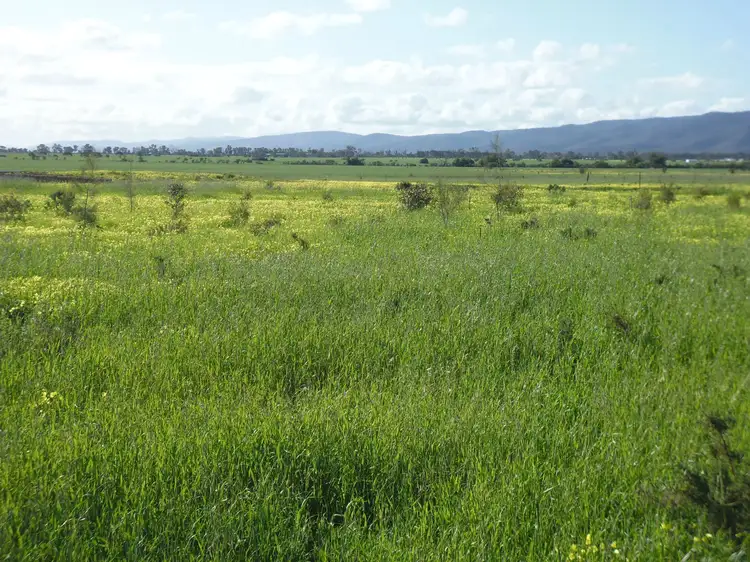 Main view of Homely land listing, 140 Oaks Road, Napperby SA 5540