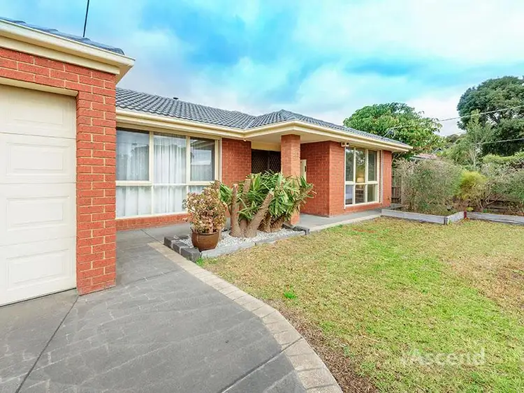 Main view of Homely house listing, 237 Greenhills Road, Bundoora VIC 3083