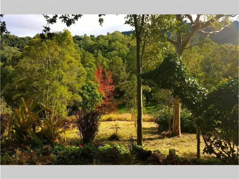 Main view of Homely rural property listing, 722 Riverside Drive, Pine Mountain QLD 4306