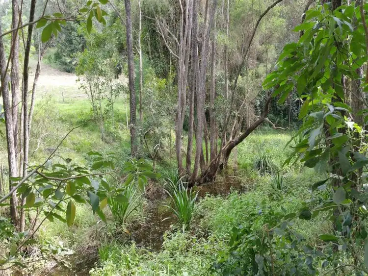 Third view of Homely rural property listing, 722 Riverside Drive, Pine Mountain QLD 4306