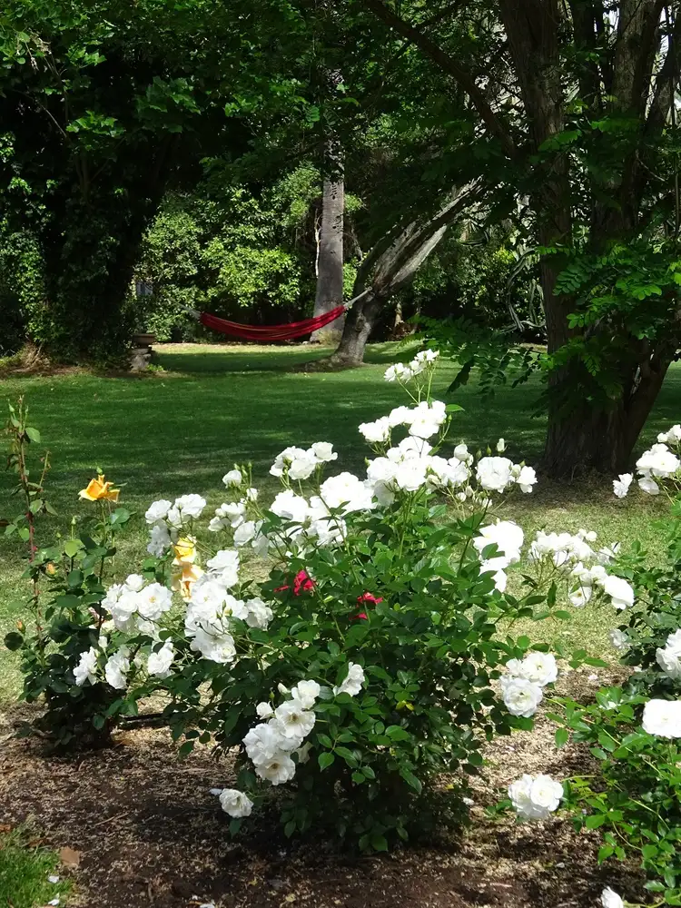 Sixth view of Homely house listing, 101 Shenton Road, Burekup WA 6227