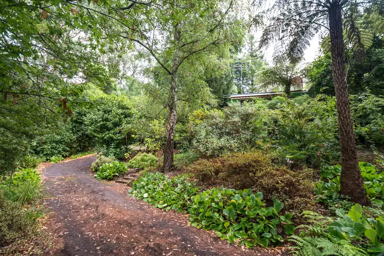 8 Fernshaw Road, Monbulk VIC 3793