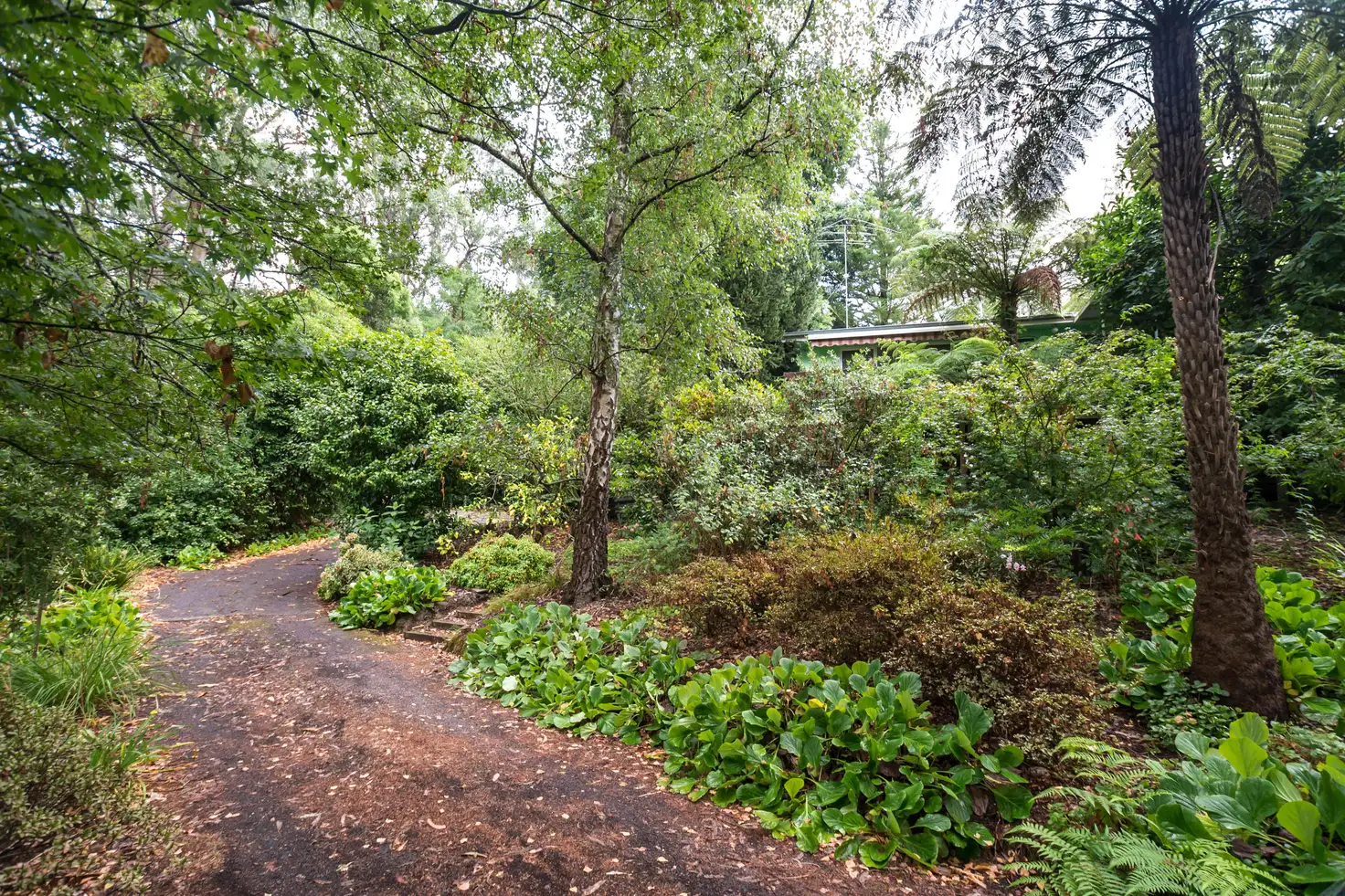 Main view of Homely house listing, 8 Fernshaw Road, Monbulk VIC 3793