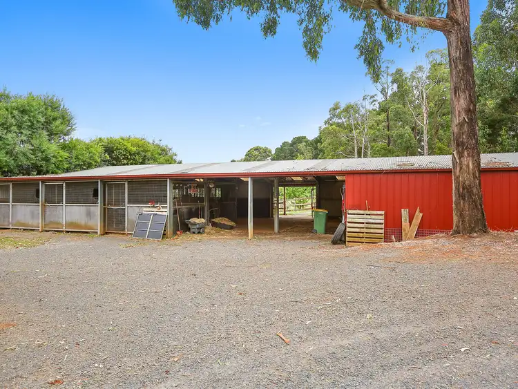 Sixth view of Homely house listing, 840 Gembrook-Launching Place Road, Hoddles Creek VIC 3139