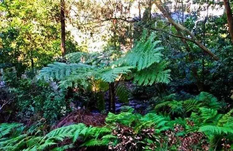 Sixth view of Homely land listing, 13 Kunala Lane, Horsfield Bay NSW 2256