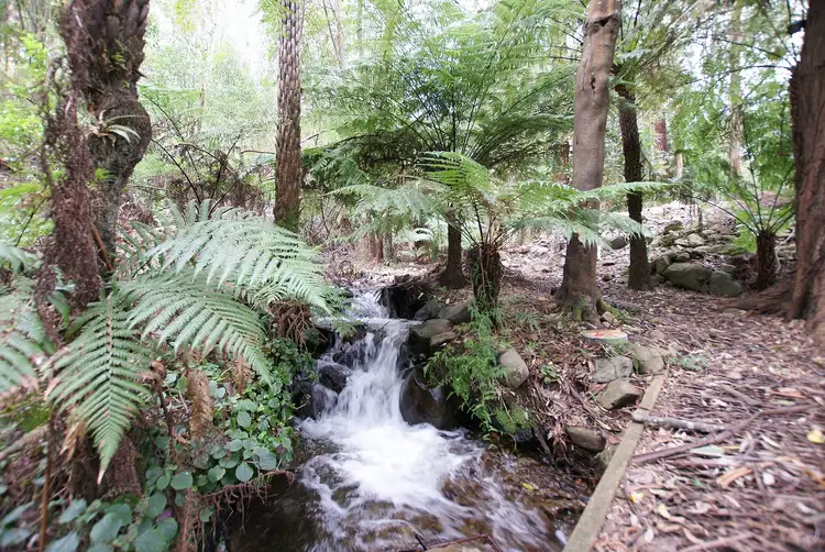 Third view of Homely house listing, 11 Margaret Court, Millgrove VIC 3799