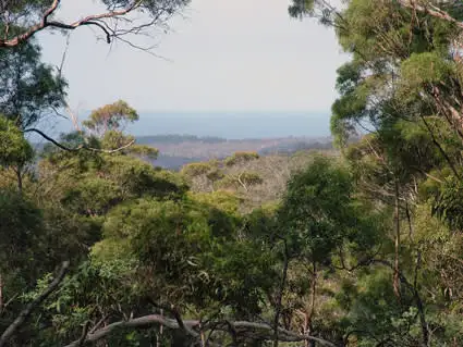 Second view of Homely rural property listing, 0 Swanston Road, Little Swanport TAS 7190