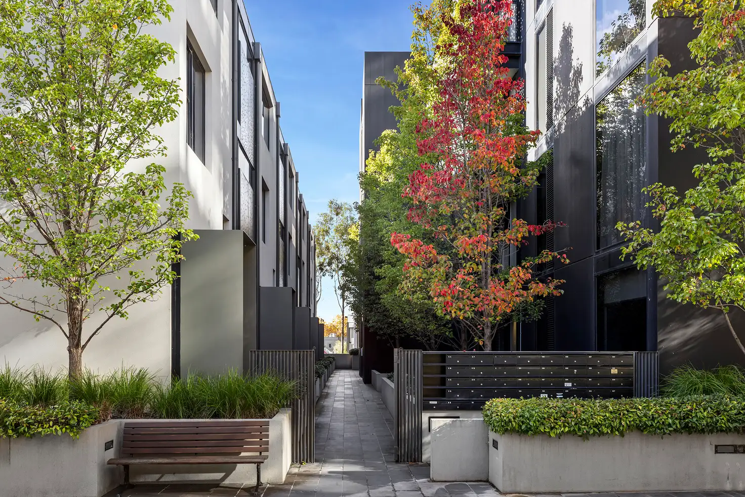 Main view of Homely apartment listing, 3/3 Clara Street, South Yarra VIC 3141