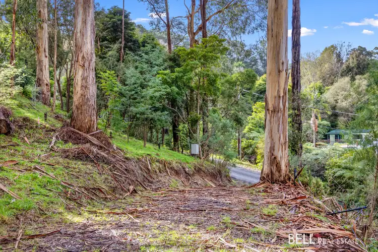 Second view of Homely land listing, 113 Wonga Road, Millgrove VIC 3799