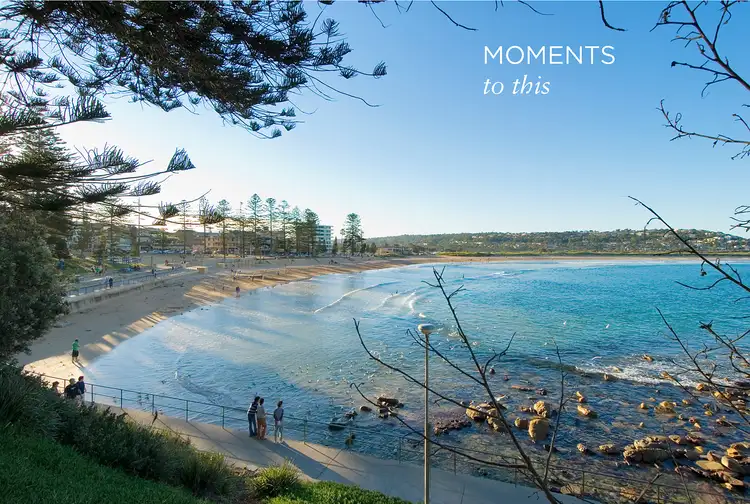 Fifth view of Homely house listing, 6 Jamieson Avenue, North Curl Curl NSW 2099
