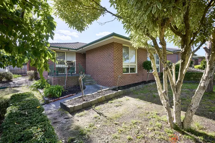 Main view of Homely house listing, 29 Birkenhead Avenue, Wantirna VIC 3152
