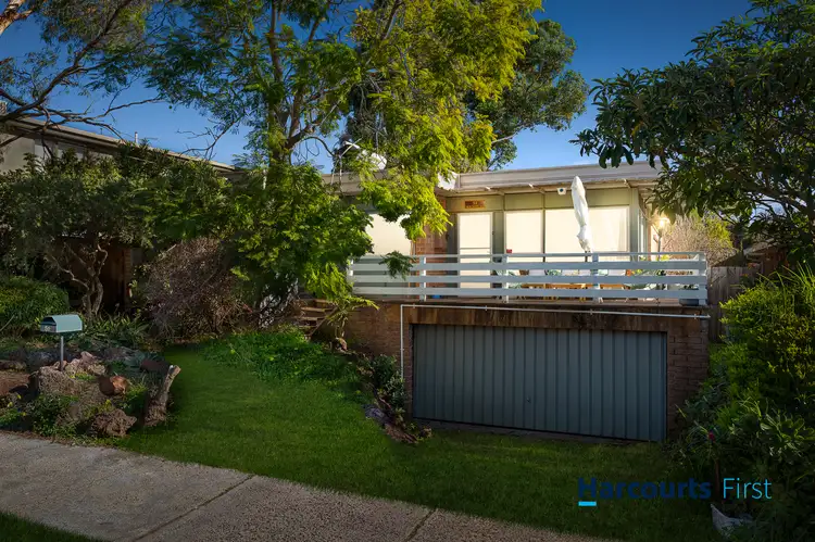 51 Wilson Street, Cheltenham VIC 3192