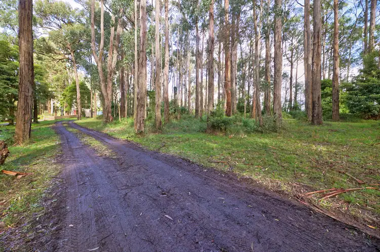 Fourth view of Homely land listing, 29 Maisey Road, Gembrook VIC 3783
