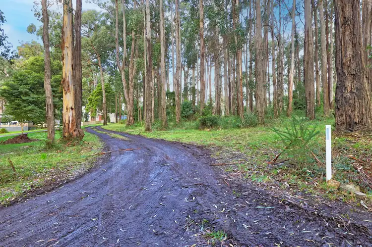 Fifth view of Homely land listing, 29 Maisey Road, Gembrook VIC 3783