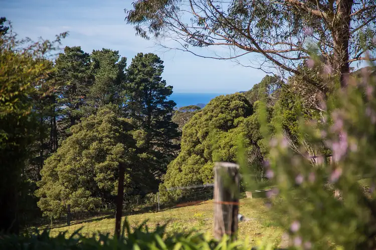 Fifth view of Homely rural property listing, 100 McGuinness Drive, Mount Murray NSW 2577