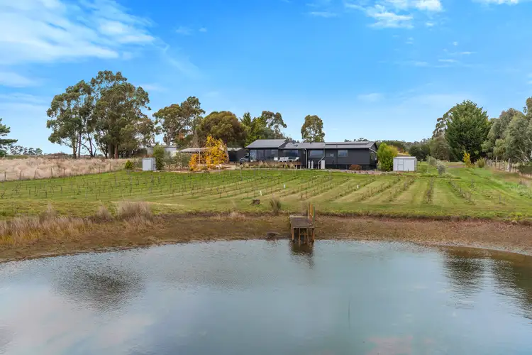 Sixth view of Homely rural property listing, 831 Three Chain Road, Newham VIC 3442