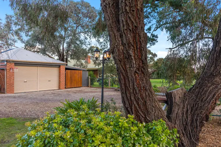 Third view of Homely house listing, 161 Main Road, Riddells Creek VIC 3431