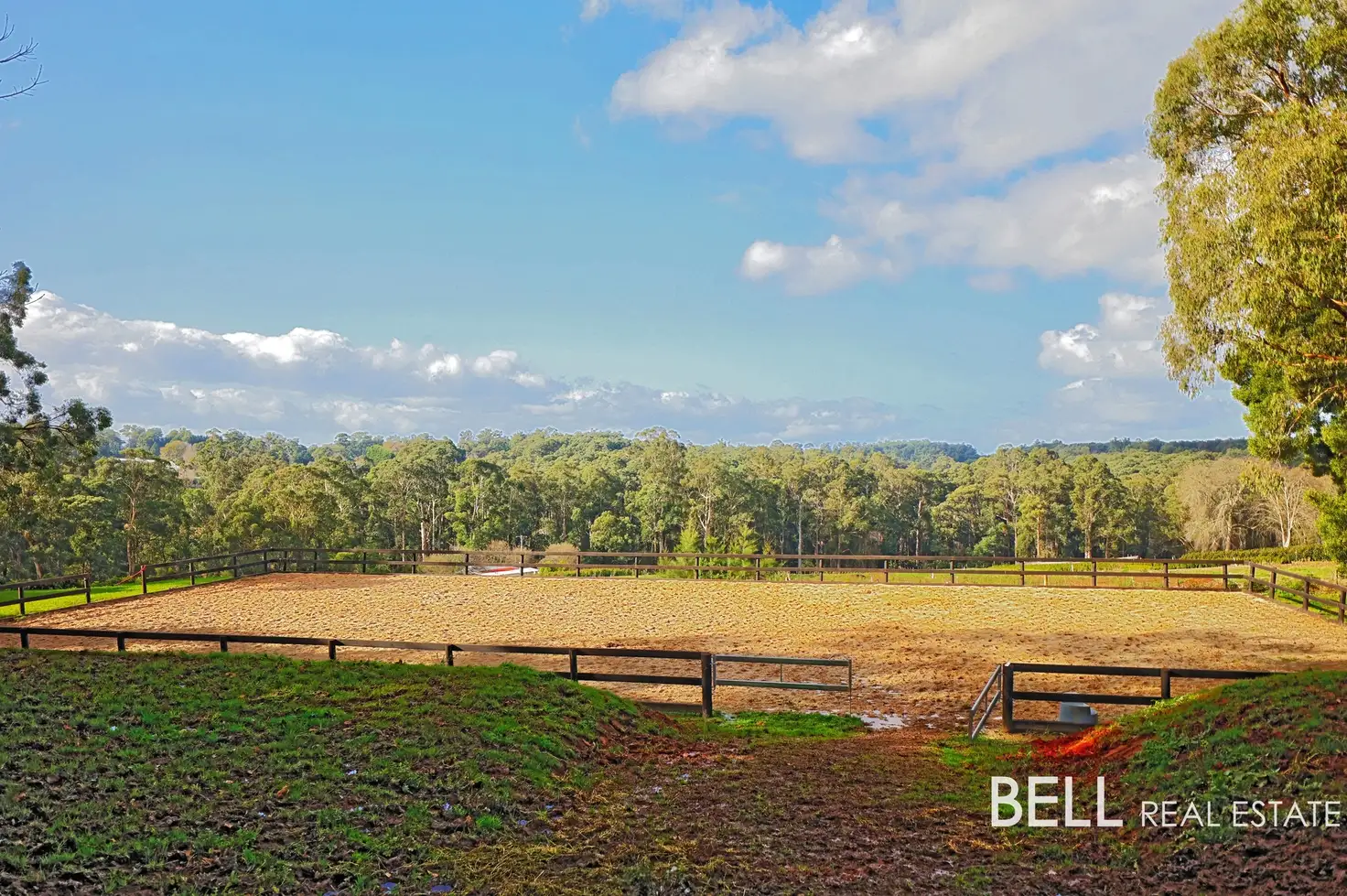 Main view of Homely house listing, 131 Moxhams Road, Monbulk VIC 3793
