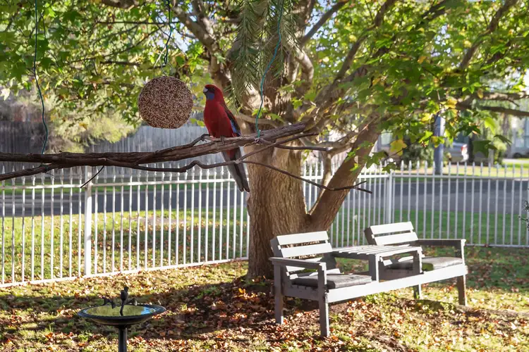 Third view of Homely house listing, 8 Keogh Street, Rosebud VIC 3939