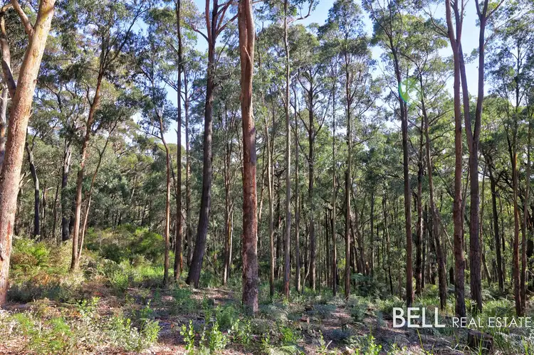 Sixth view of Homely land listing, 131 Grey Road, Gembrook VIC 3783